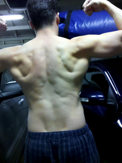 back muscles